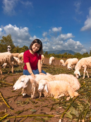 Trần Thị Thu Phương 