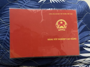 Nguyễn Thị Hồng Hạnh